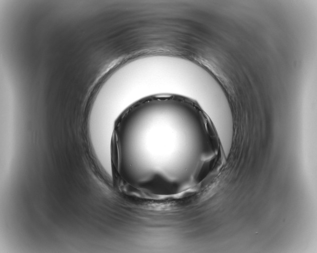 X0000086980160200704301324