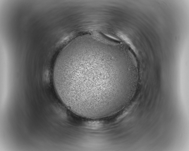 X0000086980161200704301325