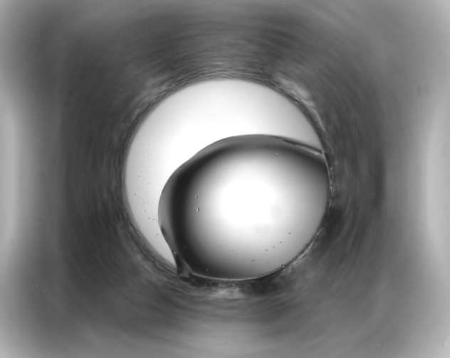 X0000086980162200704301325