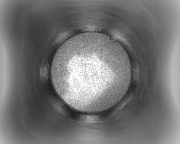 X0000086980165200704301325