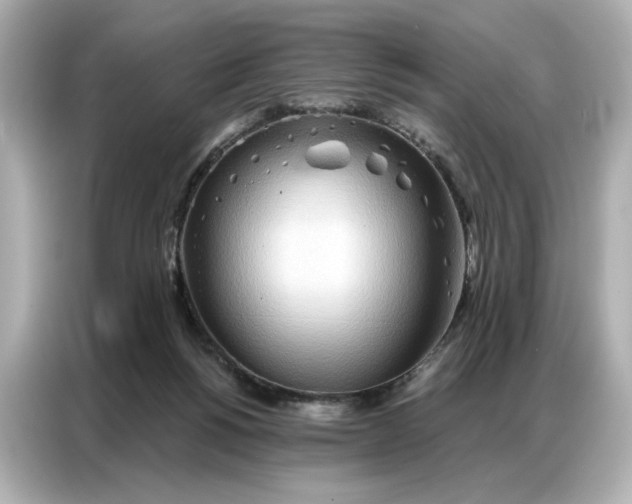 X0000086980168200704301325