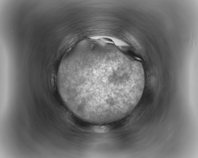 X0000086980169200704301325