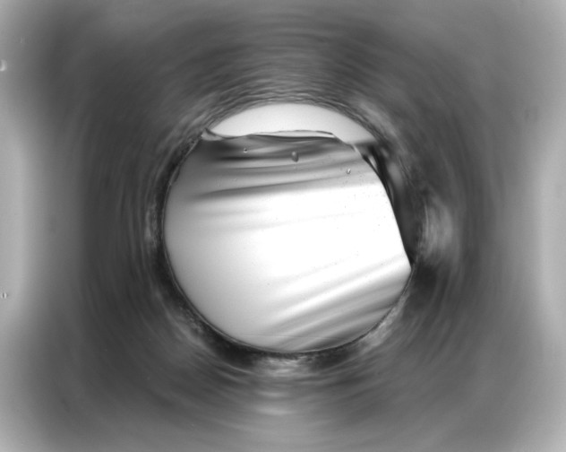 X0000086980170200704301325