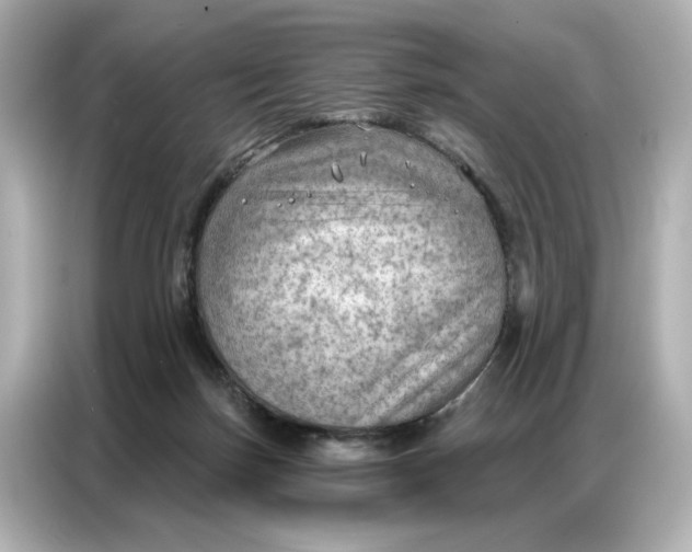 X0000086980171200704301325