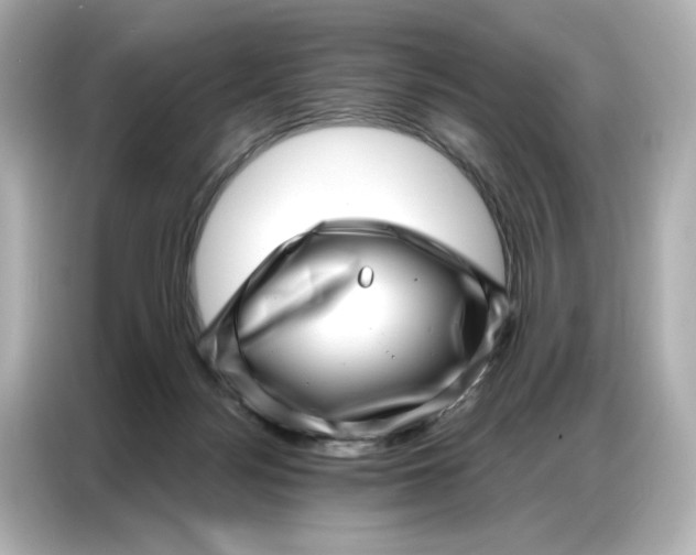 X0000086980172200704301325