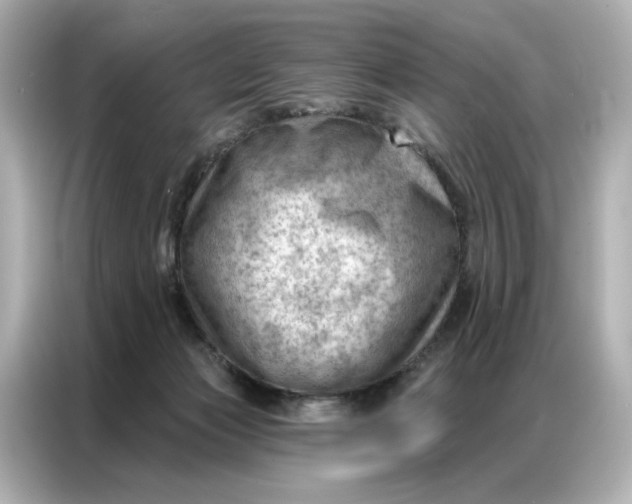 X0000086980173200704301325