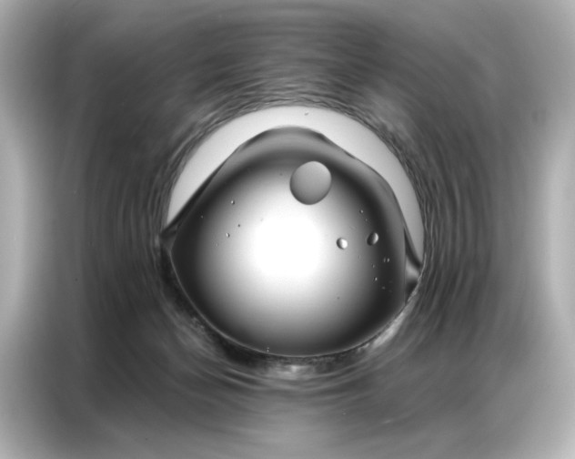 X0000086980174200704301325