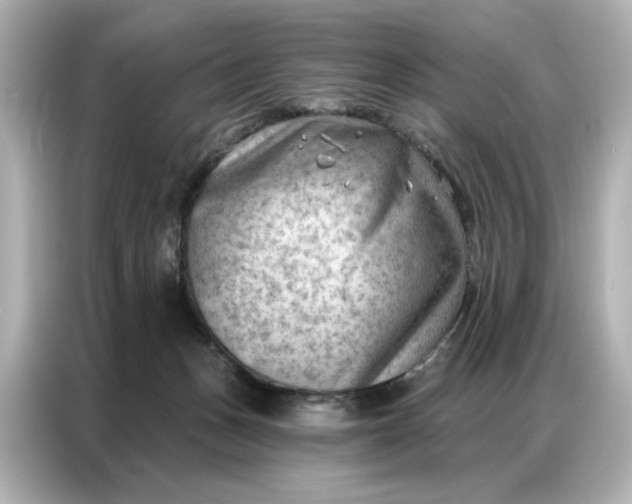 X0000086980175200704301325