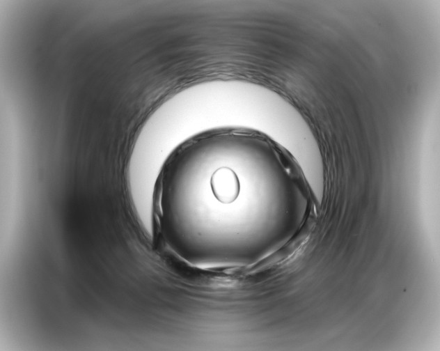 X0000086980176200704301325