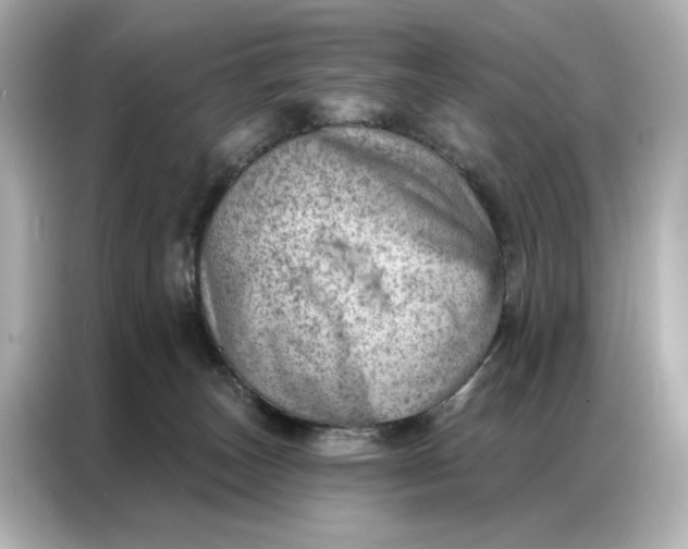 X0000086980179200704301325