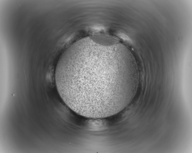 X0000086980181200704301325