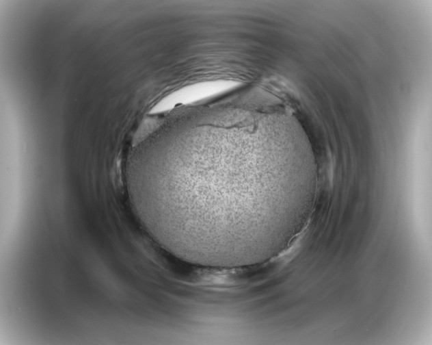 X0000086980182200704301325