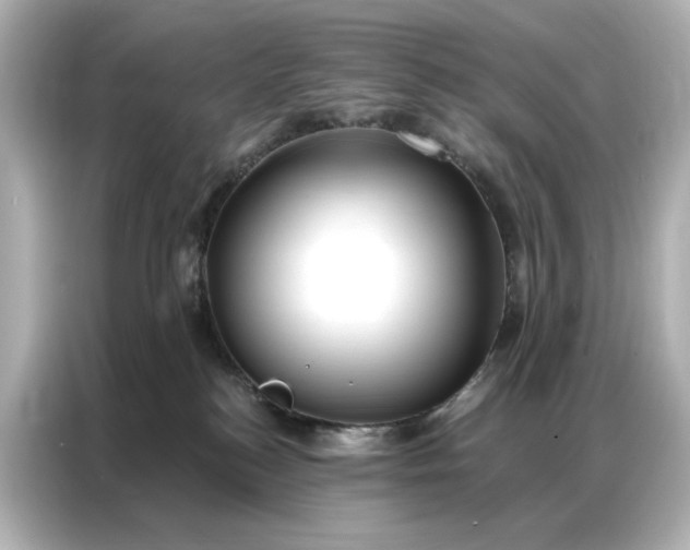 X0000086980184200704301325