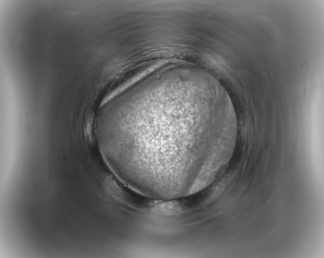 X0000086980185200704301325