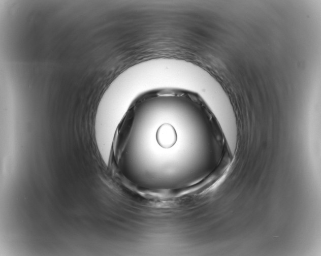 X0000086980186200704301325