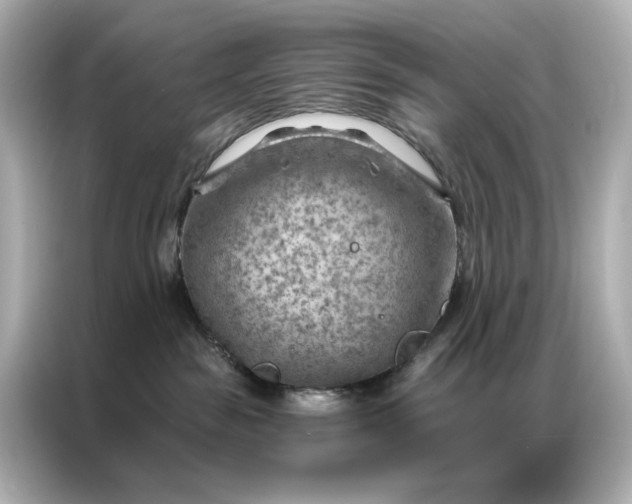 X0000086980189200704301325