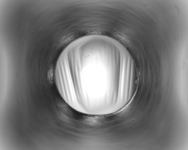 X0000086980190200704301325