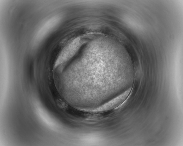 X0000086980191200704301325