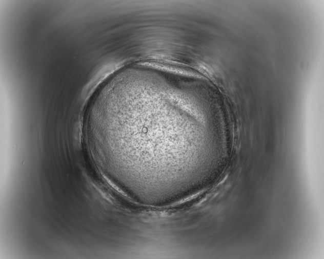 X0000086980194200704301324