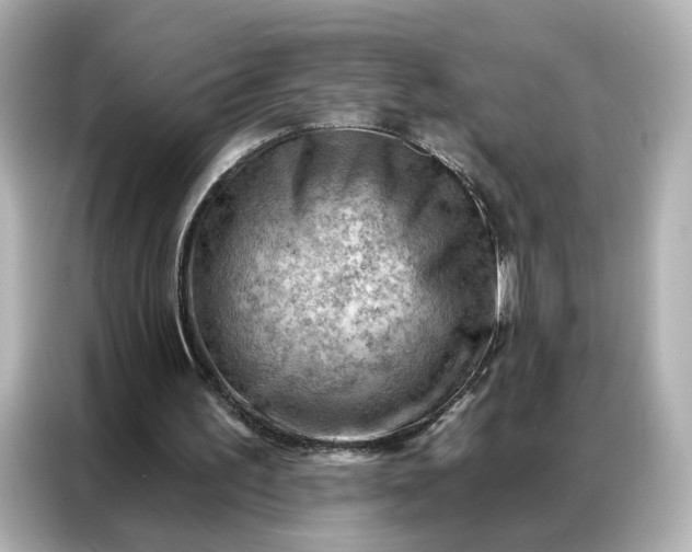 X0000086980195200704301324