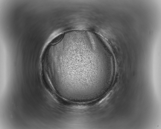 X0000086980198200704301324