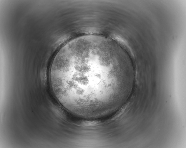 X0000086980202200704301324