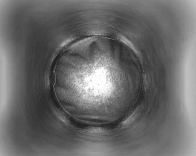 X0000086980203200704301324