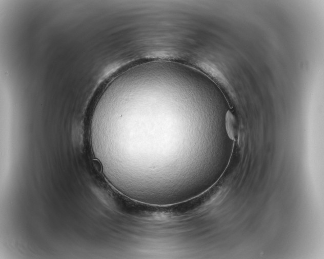 X0000086980204200704301324