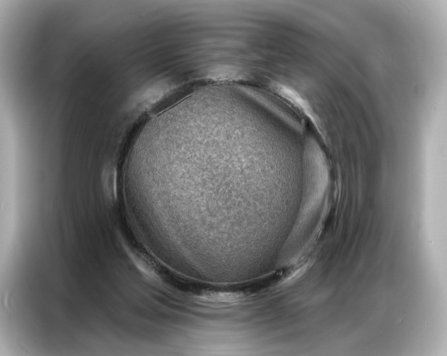 X0000086980205200704301324