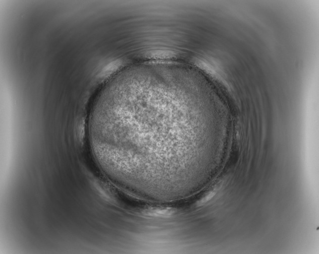 X0000086980206200704301324