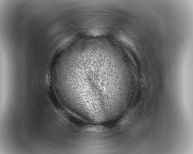 X0000086980210200704301324