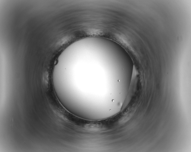 X0000086980211200704301324