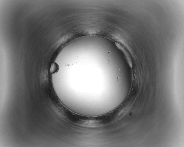 X0000086980212200704301324