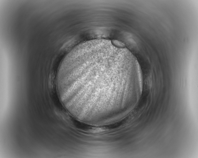 X0000086980218200704301324