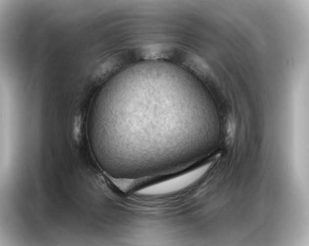 X0000086980219200704301324