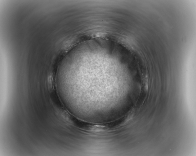 X0000086980222200704301324