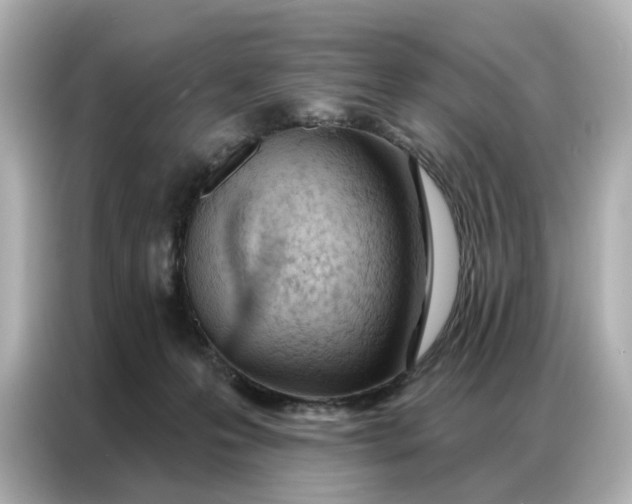 X0000086980223200704301324