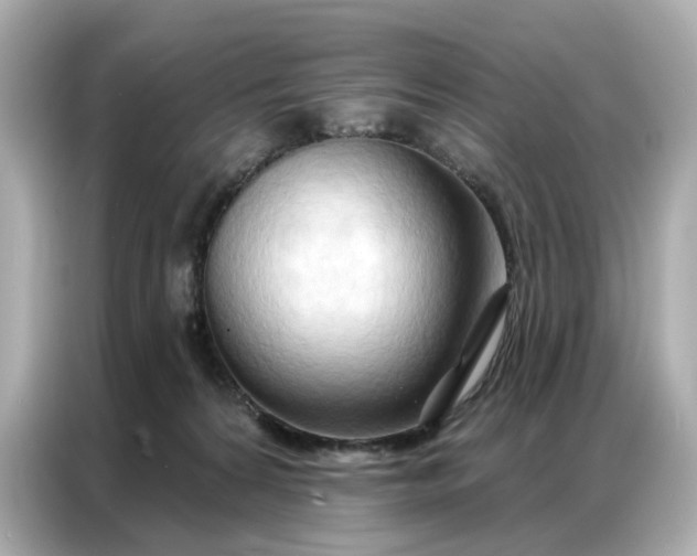 X0000086980224200704301324