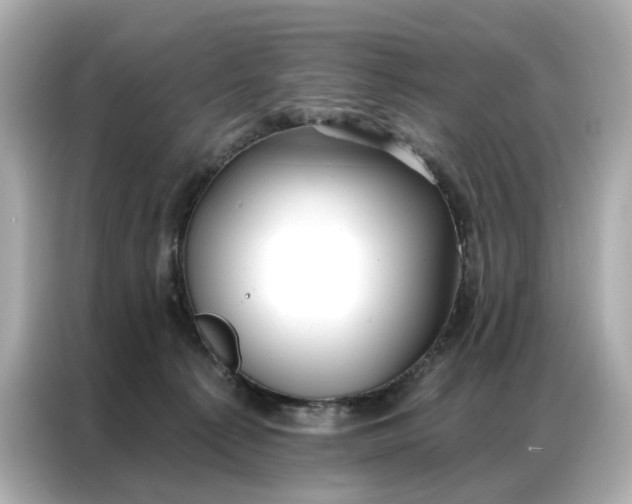 X0000086980225200704301324