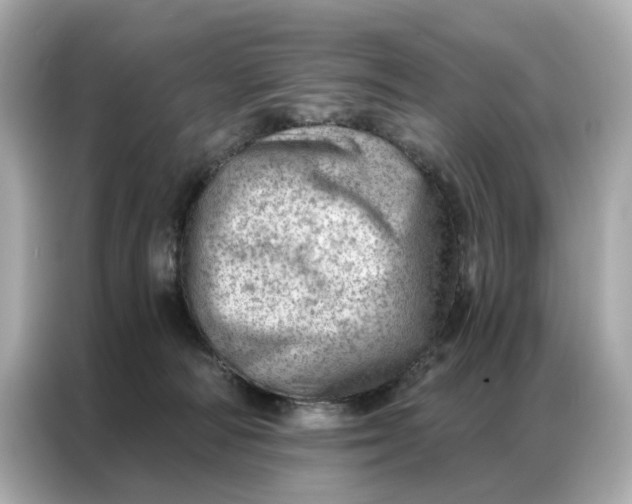 X0000086980226200704301324