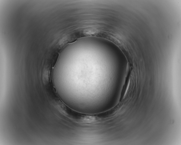 X0000086980227200704301324