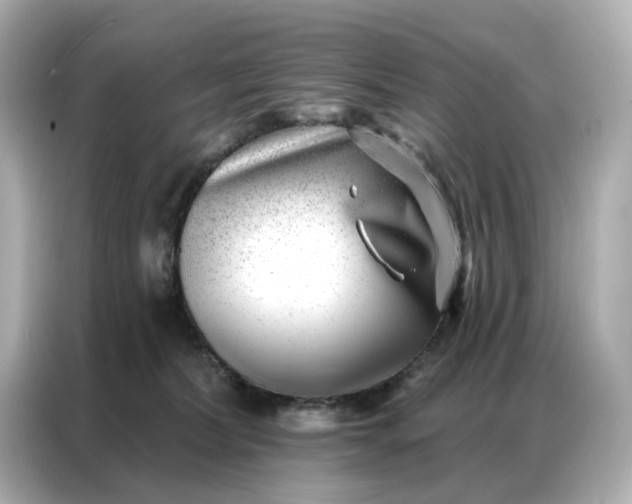 X0000086980228200704301324