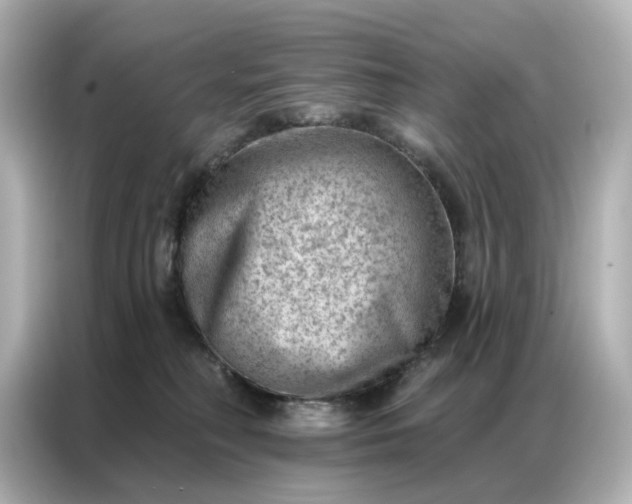 X0000086980230200704301324