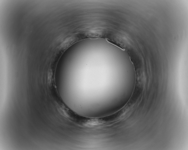 X0000086980231200704301324