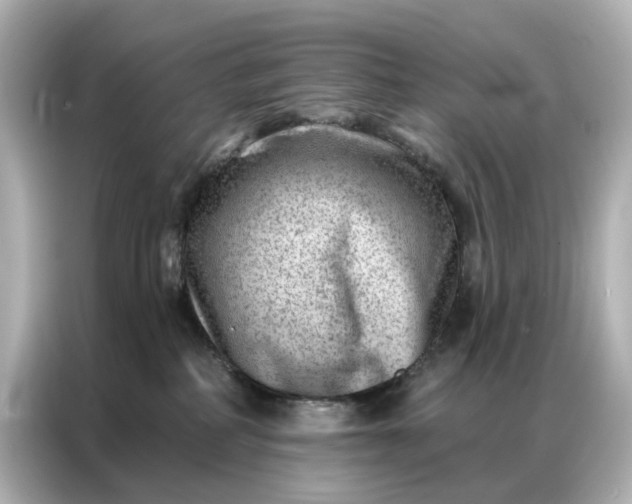 X0000086980234200704301324