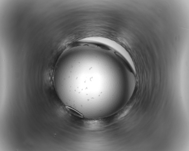 X0000086980237200704301324