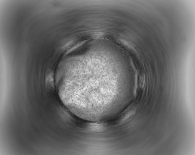 X0000086980238200704301324