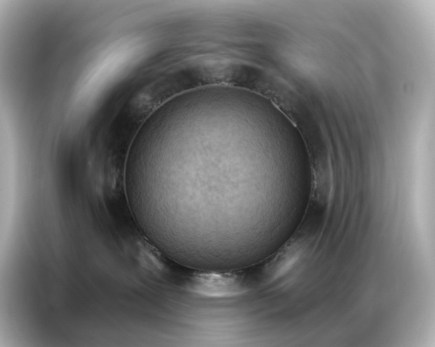 X0000086980239200704301324