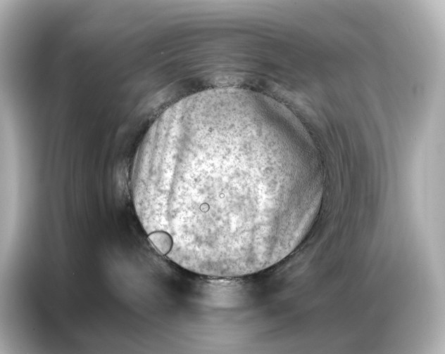 X0000086980240200704301324