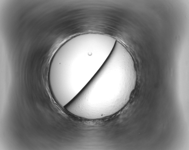 X0000086980241200704301323